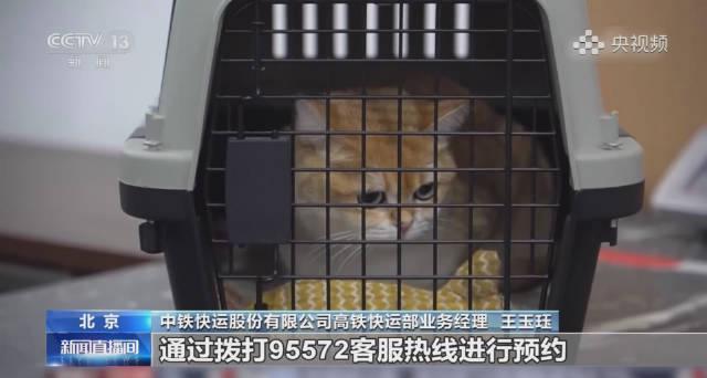 海外华人看不了国内视频?3招教你轻松解锁地区限制!