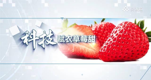 海外华人追剧遇阻?长丰草莓背后的科技启示,解决地区限制有妙招