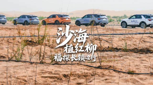 沙漠变绿洲!塔克拉玛干锁边行动成果惊人,海外华人也能参与守护地球