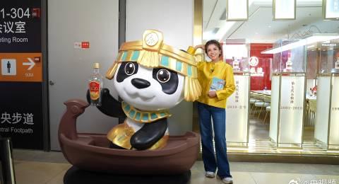 海外华人追剧听歌遇阻?这些方法帮你突破地区限制看遍国内热门节目