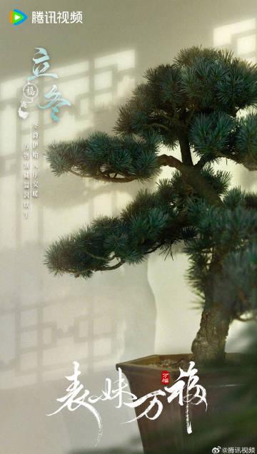 海外华人轻松解除地区限制,畅享国内影视音乐节目全攻略