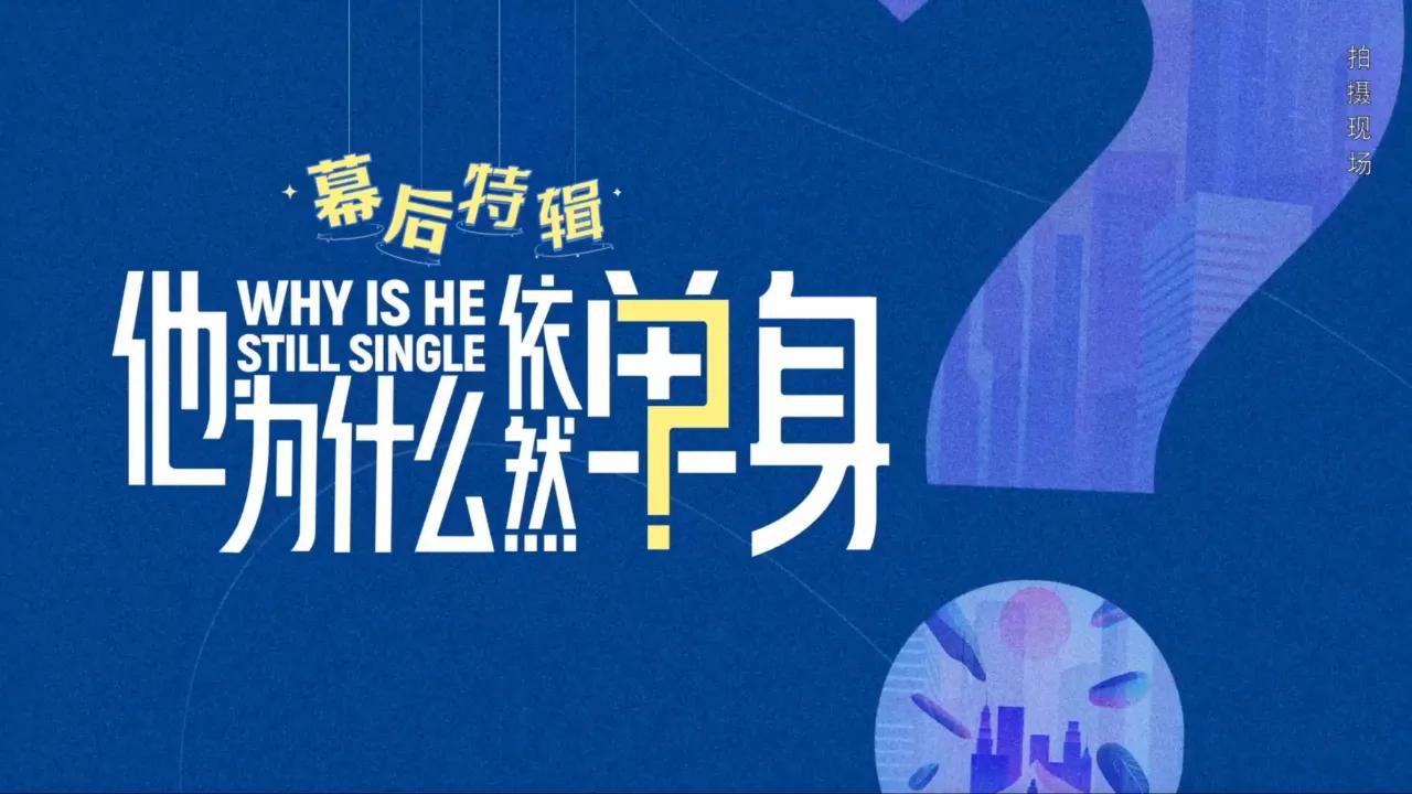 海外华人如何解除地区限制观看《他为什么依然单身》等热门影视剧的完整教程