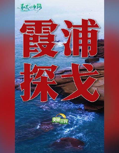 福建霞浦这条沿海公路火了!98公里串起山海美景,自驾攻略看这篇