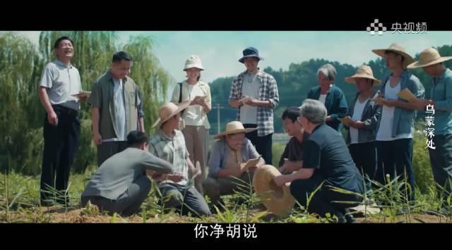 手机种高粱?悬崖村老乡用一部手机搞定施肥到收购全流程