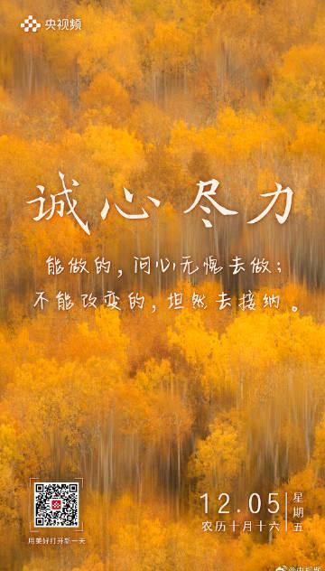 海外华人看不了国内热播剧?别急,先学会这招“尽力便好”的生活哲学