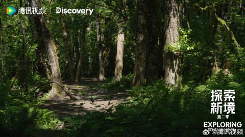 海外华人追剧看综艺遇阻?手把手教你解除地区限制,畅享国内影音