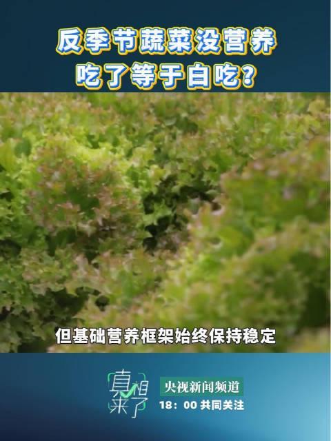 冬天西红柿没味儿?海外党别急,这招让你秒回“夏天”看国内热播剧!