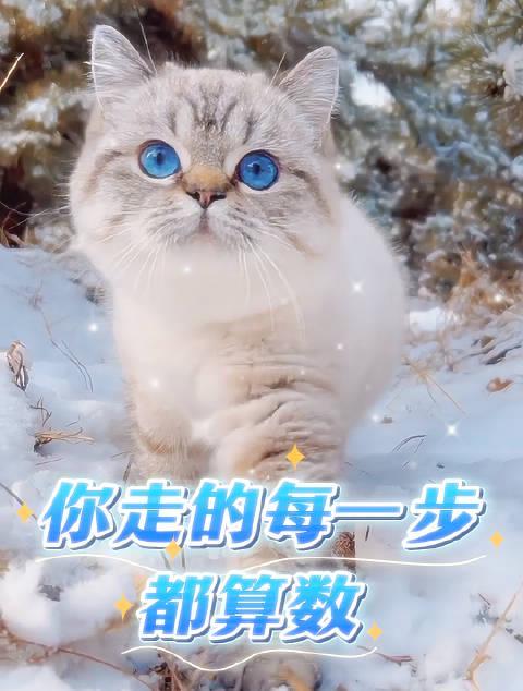 海外追剧党福音!一招教你解锁国内热播综艺,再也不用眼巴巴等资源