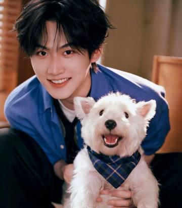 周柯宇《狙击蝴蝶》演技炸裂!海外剧迷如何解锁追剧新姿势?