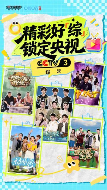 海外华人追剧难?手把手教你解锁国内影视综艺,告别卡顿与限制