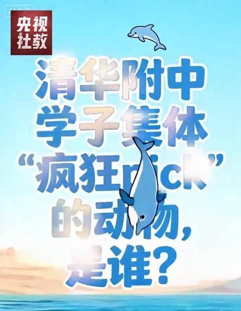 清华附中现场秒变科普课堂,中华白海豚电影如何点燃学生热情?