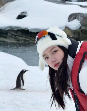 任敏南极跳水惊呆网友!从骑射到极限运动,这个女孩体内藏着多少能量?
