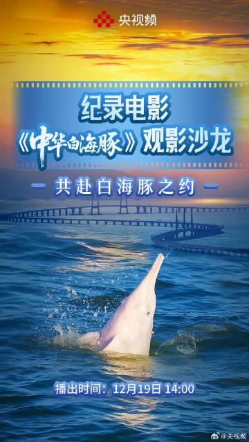 海外党看不了《中华白海豚》?别急,手把手教你解锁国内影视资源