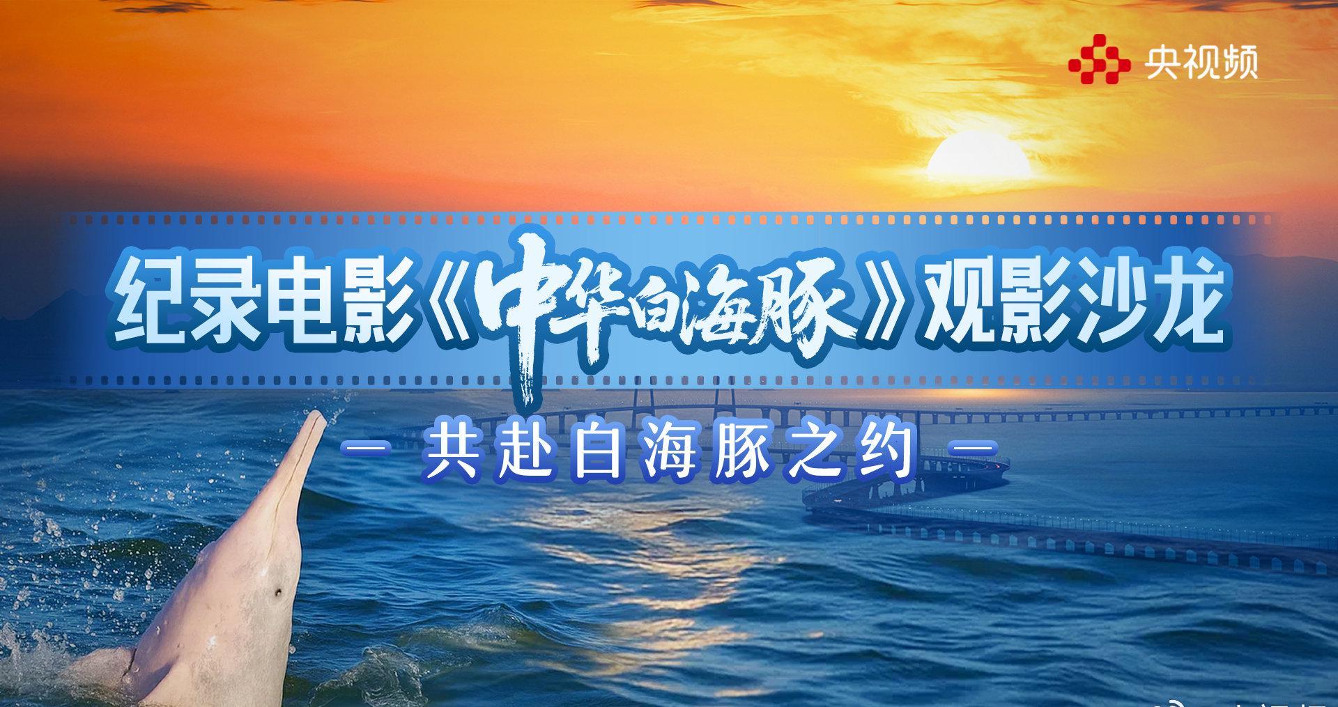 海外追剧党看过来!除了《中华白海豚》,这些国内爆款内容你还在用“魔法”硬扛吗?