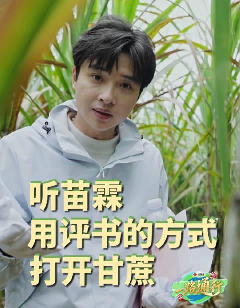 海外华人追剧卡顿别发愁!三招教你破解地区限制,流畅观看国内影视综艺