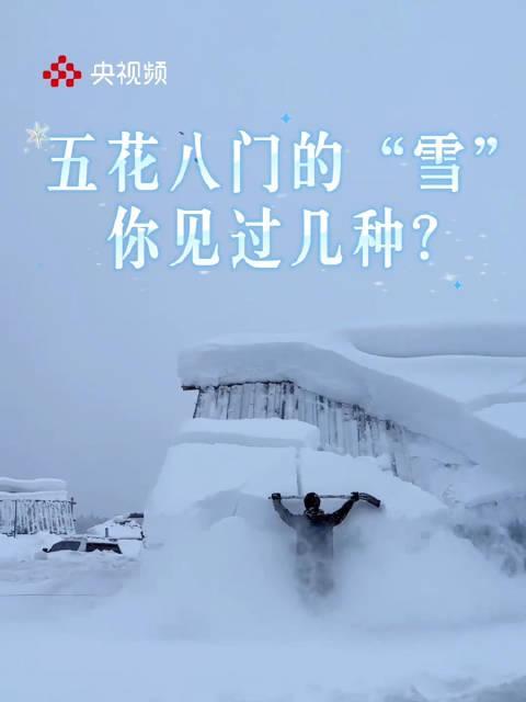 海外党看雪指南:除了干雪湿雪,你更该知道如何解锁家乡的“限定版”雪景