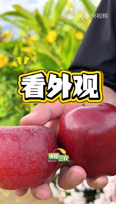 人在海外,想追国内热播剧却提示“地区限制”?别急,这3个方法帮你轻松搞定!