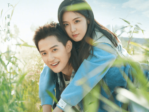 身在海外,如何畅享国内影视?